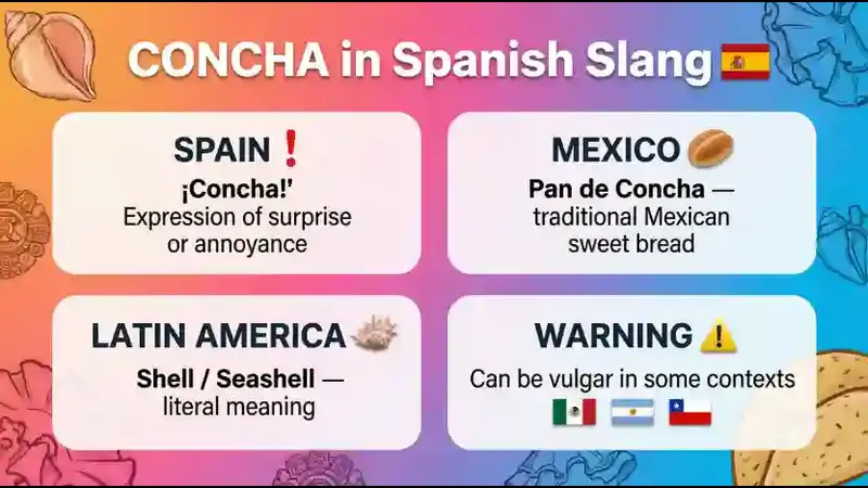 Concha in Spanish Slang
