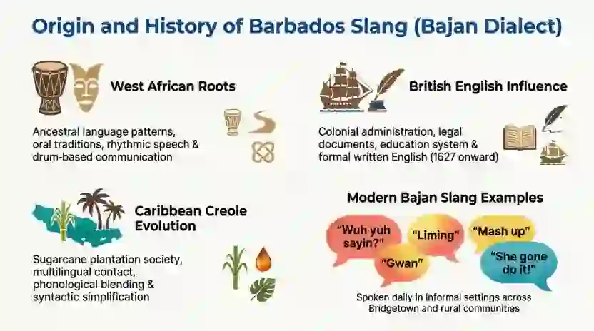 Origin and History of Barbados Slang