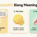 Canary Slang Meaning