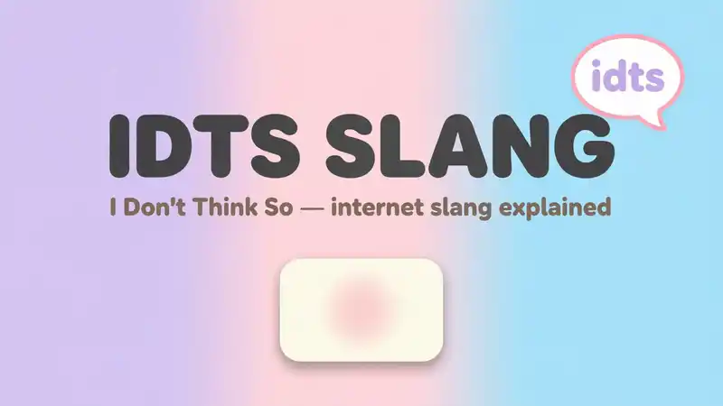 IDTS Slang
