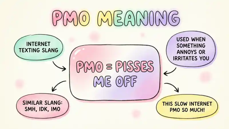 PMO Meaning: “Pisses Me Off”