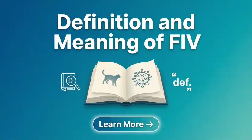Definition and Meaning of FIV
