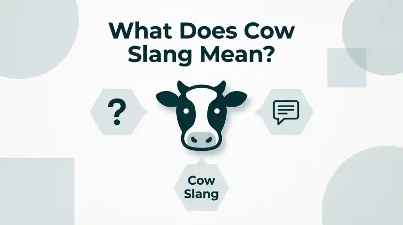 What Does Cow Slang Mean?