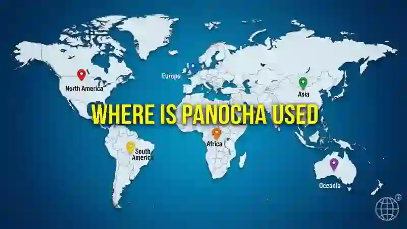 Where Is Panocha Commonly Used?