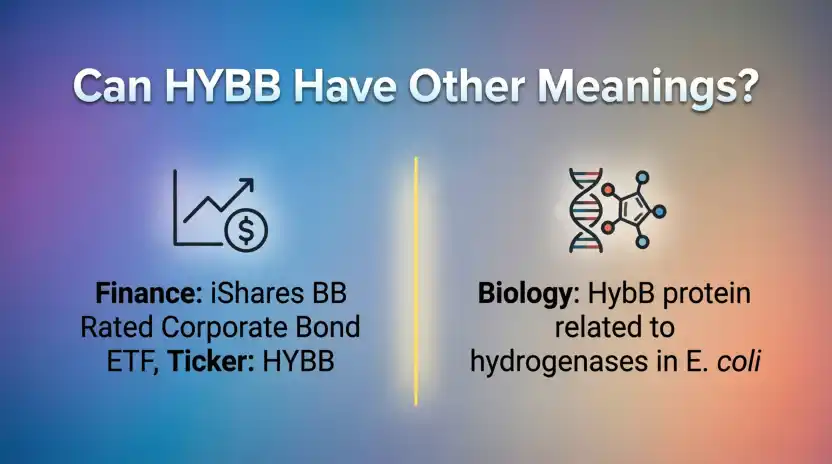 Can HYBB Have Other Meanings?
